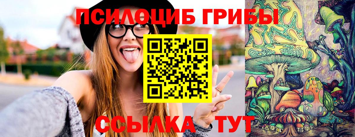 Аксай  Псилоцибиновые грибы прущие грибы  Вход с VPN 